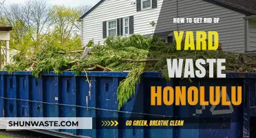 Efficient Yard Waste Disposal Tips for Honolulu Residents
