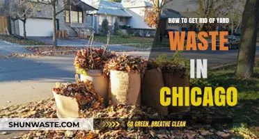 Efficient Yard Waste Disposal Tips for Chicago Residents