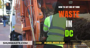 Efficient Yard Waste Disposal Tips for DC Residents: A Complete Guide