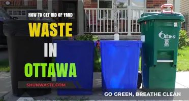 Efficient Yard Waste Disposal Tips for Ottawa Residents