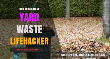 Smart Yard Waste Disposal: Lifehacker Tips for a Cleaner Outdoor Space