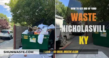 Efficient Yard Waste Disposal Tips for Nicholasville, KY Residents