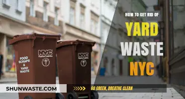 Efficient Yard Waste Disposal Tips for NYC Residents