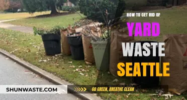 Seattle Yard Waste Removal: Eco-Friendly Tips for a Clean Garden