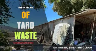 Efficient Yard Waste Removal: Tips for a Clean and Green Outdoor Space