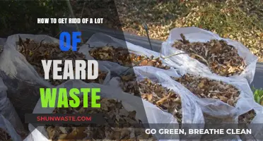 Efficient Yard Waste Removal: Tips for Clearing Large Debris Quickly