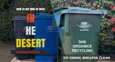 Effective Desert Waste Disposal: Eco-Friendly Solutions for Arid Environments