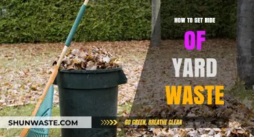 Efficient Yard Waste Disposal: Tips for a Clean and Green Outdoor Space