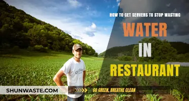 Save Water, Boost Profits: Strategies for Eco-Friendly Restaurant Servers