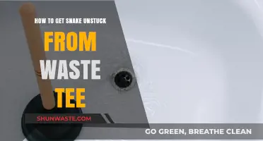 Effective Techniques to Safely Free a Snake Stuck in a Waste Tee