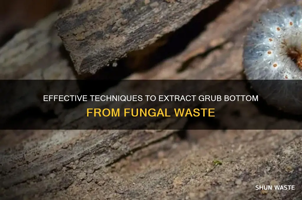 how to get the grub bottom of fungal waste
