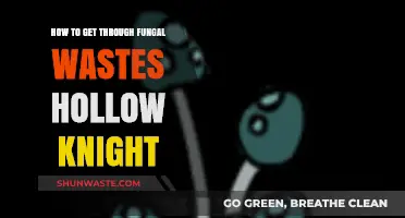 Mastering Fungal Wastes: Essential Tips for Hollow Knight Survival