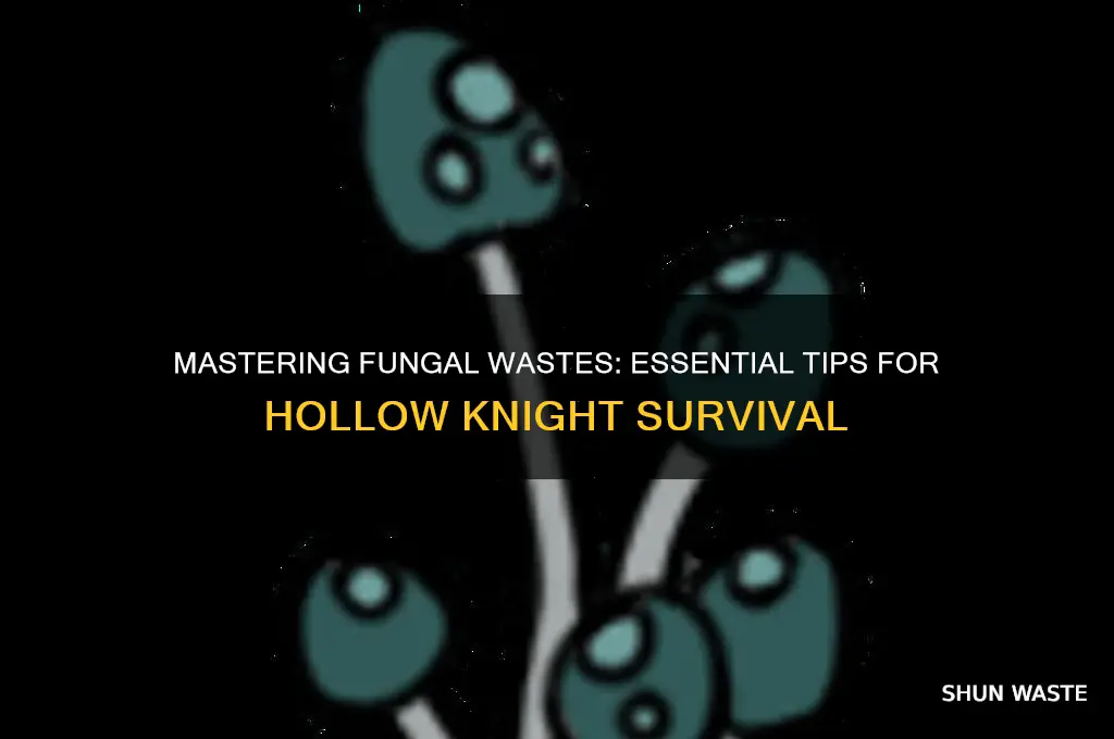 how to get through fungal wastes hollow knight