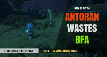 BFA Guide: Navigating to Antoran Wastes in World of Warcraft