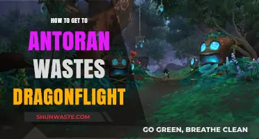 Navigating to Antoran Wastes in Dragonflight: A Comprehensive Guide
