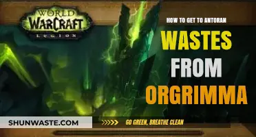 Traveling from Orgrimmar to Antoran Wastes: A Step-by-Step Guide