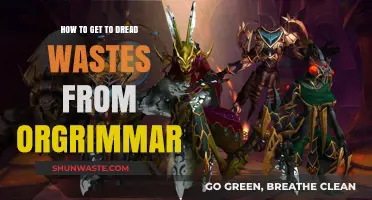 Traveling from Orgrimmar to Dread Wastes: A Step-by-Step Guide