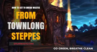 Traveling from Townlong Steppes to Dread Wastes: A Comprehensive Guide