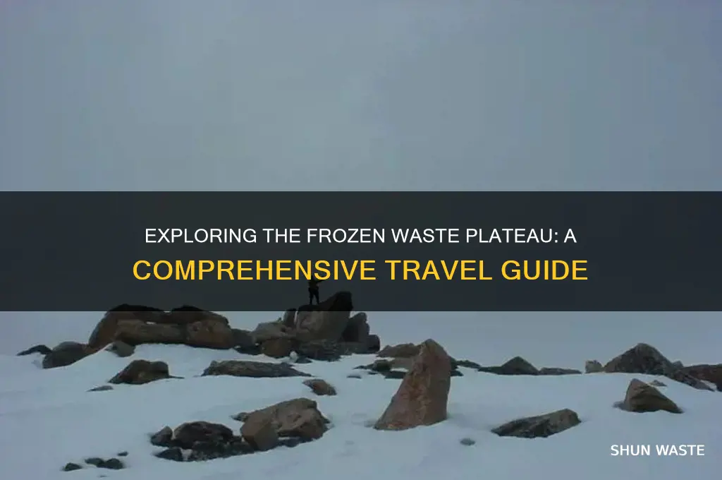 how to get to frozen waste plateau