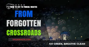 Navigate from Forgotten Crossroads to Fungal Wastes: A Quick Guide