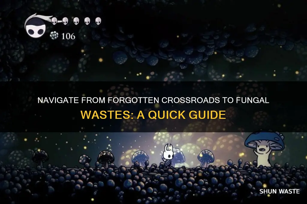 how to get to fungal wastes from forgotten crossroads