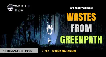Navigate from Greenpath to Fungal Wastes: A Step-by-Step Guide