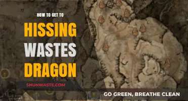 Navigating to Hissing Wastes Dragon: A Comprehensive Guide for Adventurers