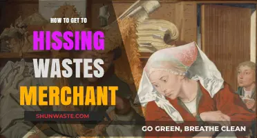 Navigating to the Hissing Wastes Merchant: A Step-by-Step Guide