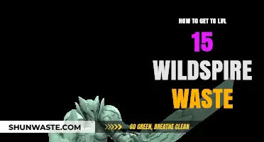 Mastering Wildspire Waste: Tips to Reach Level 15 Efficiently