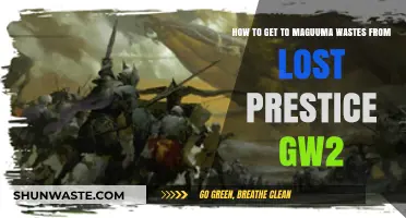 Navigating to Maguuma Wastes from Lost Precincts in Guild Wars 2