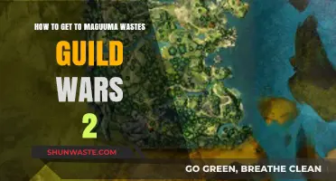 Exploring Maguuma Wastes: A Guild Wars 2 Travel Guide
