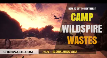 Navigating to Northeast Camp in Wildspire Wastes: A Comprehensive Guide
