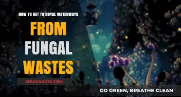 Navigating from Fungal Wastes to Royal Waterways: A Comprehensive Guide