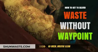Navigating to Silverwastes: A Waypoint-Free Guide for Guild Wars 2 Players