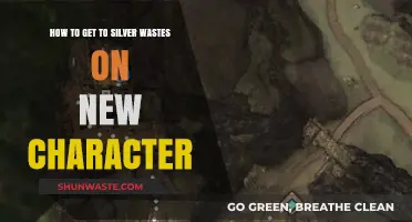 Quick Guide: Reaching Silverwastes on Your New GW2 Character