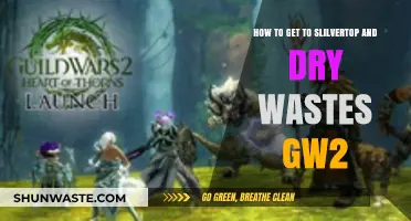 GW2 Guide: Navigating to Silverwastes and Dry Top Efficiently