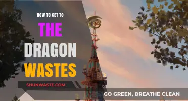 Navigating to the Dragon Wastes: A Comprehensive Travel Guide
