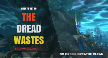 Navigating Pandaria: A Comprehensive Guide to Reaching the Dread Wastes
