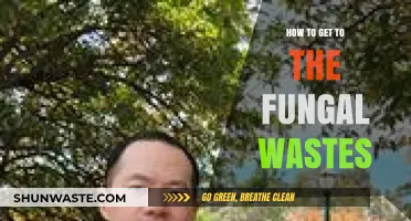 Navigating to the Fungal Wastes: A Comprehensive Travel Guide