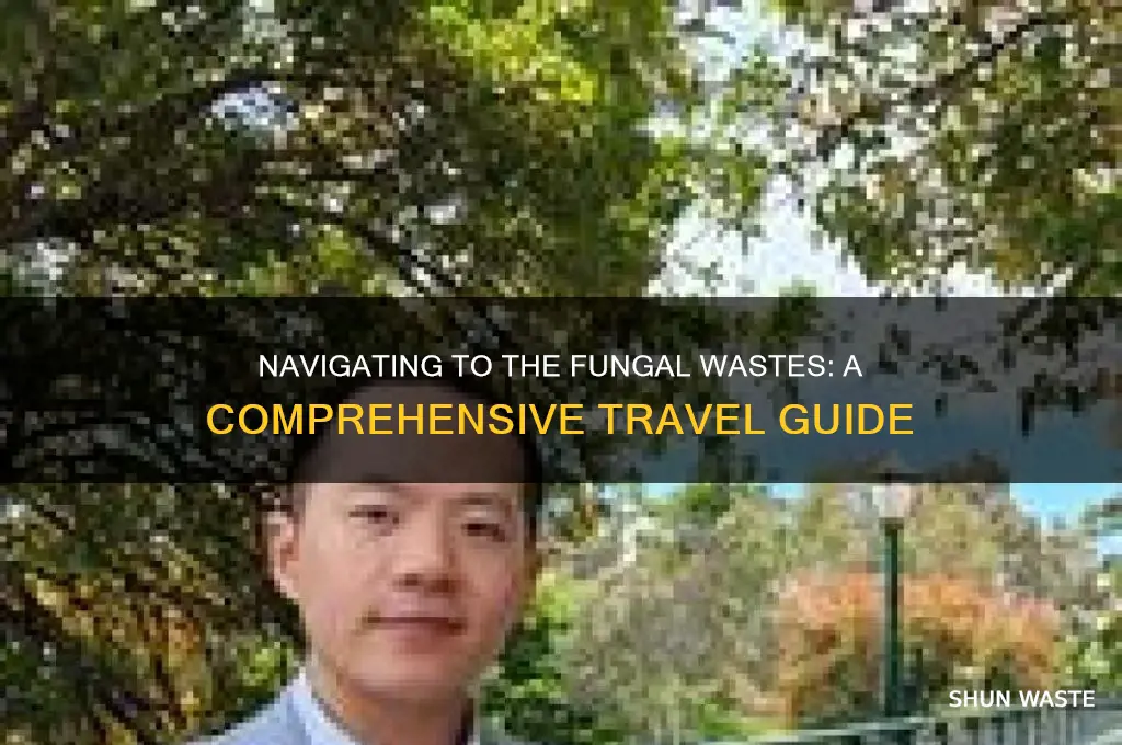 how to get to the fungal wastes