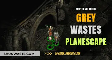 Navigating the Path to the Grey Wastes in Planescape