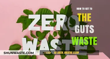 Mastering Gut Health: Effective Strategies to Eliminate Waste Efficiently
