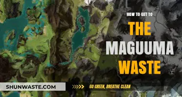 Exploring Maguuma Wastes: Essential Routes and Travel Tips for Adventurers