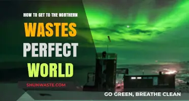 Exploring Perfect World: Your Ultimate Guide to Reaching Northern Wastes
