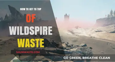Mastering Wildspire Waste: Proven Strategies to Reach the Summit