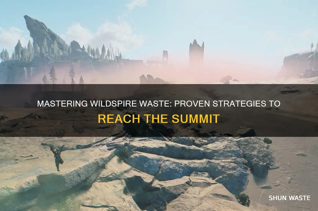 how to get to top of wildspire waste