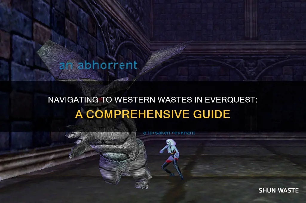 how to get to western wastes eq