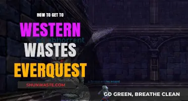 Navigating EverQuest: Your Ultimate Guide to Reaching Western Wastes