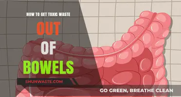 Detox Your Bowels: Effective Ways to Eliminate Toxic Waste Naturally