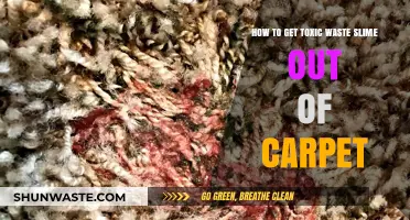 Effective Methods to Remove Toxic Waste Slime from Your Carpet